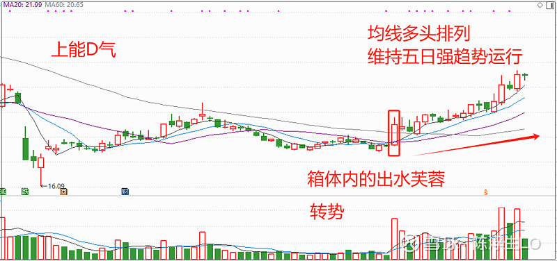 关于阿扎伦卡连续十二场比赛得分超过比赛局势复杂，公牛不断突破！气势如虹延续的信息